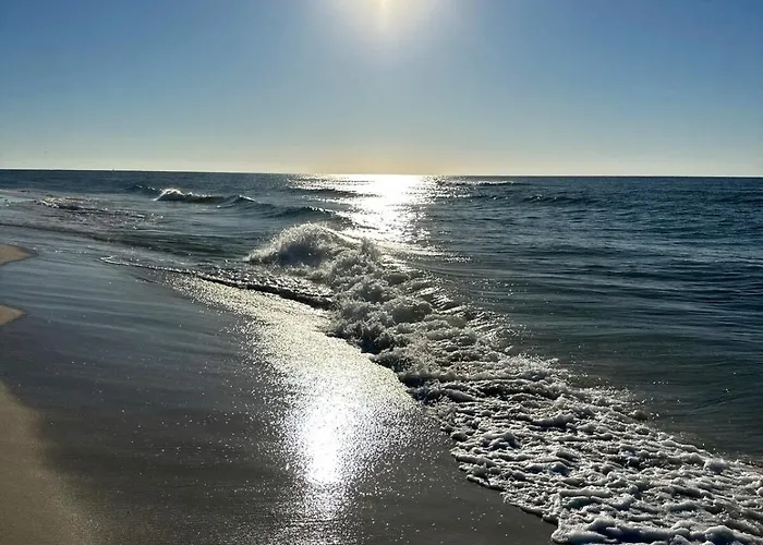 Grand Caribbean West 112 In Perdido Key Apartment *