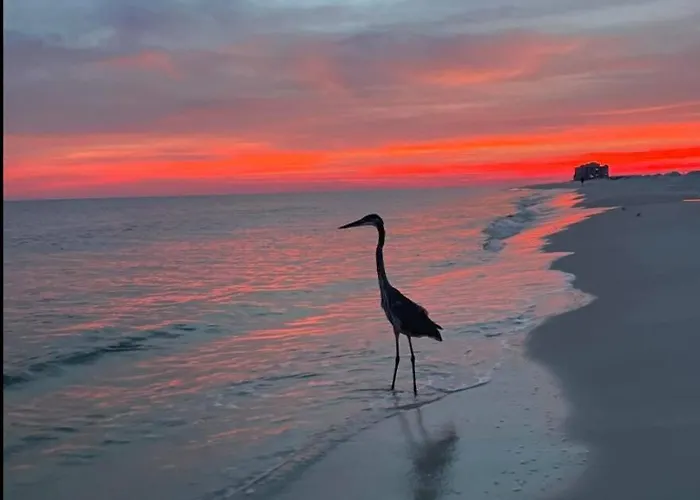 Grand Caribbean West 112 In Perdido Key Pensacola